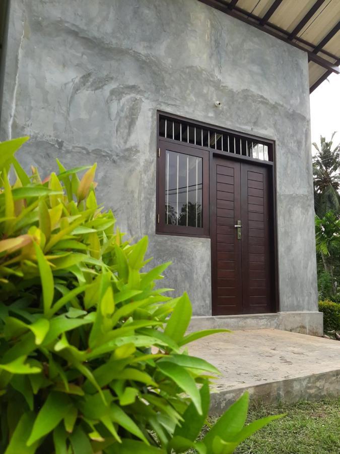 Dollyz Home - Sri Lanka 앰발랑고다 외부 사진